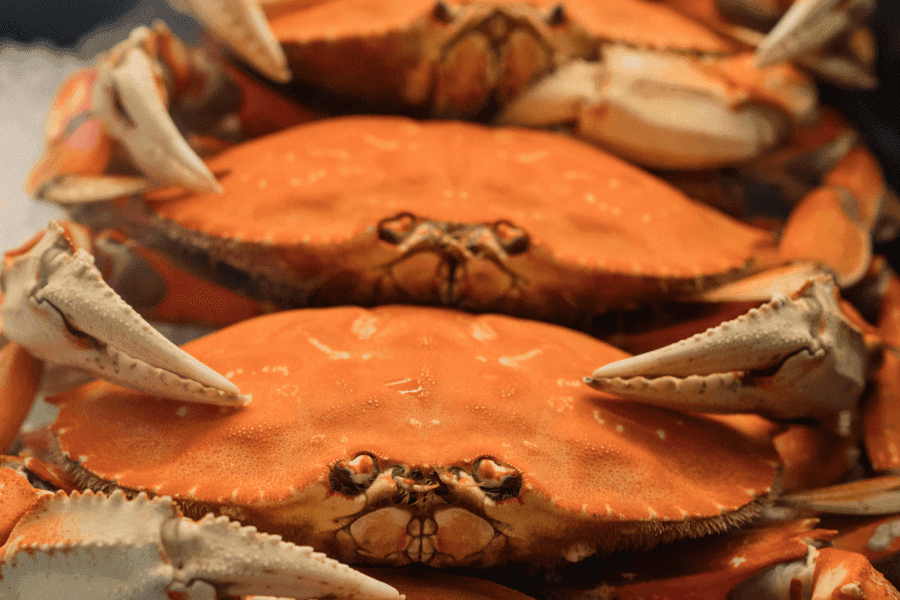 Crabs.