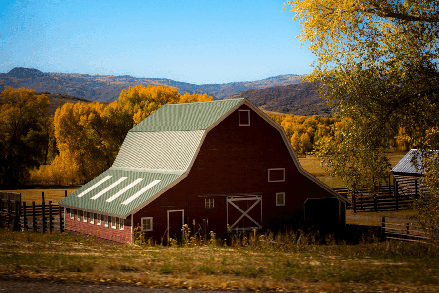 Barnyard in fall scenery.